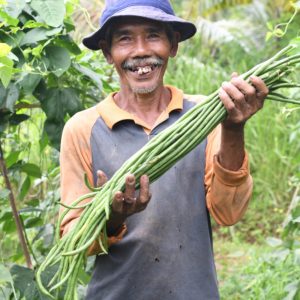 Melalui Program #ZakatMenguatkan, Petani di Desa Bangkonol, Pandeglang Panen Pertama Kalinya